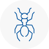 Ant Removals In Warwick