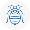 Bed Bug Extermination In Warwick