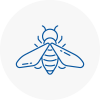 Bee Nest Removal Warwick