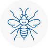 Warwick Hornet Nest Removals