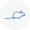 Mice Exterminators In Warwick