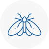 Moth Control Specialists In Warwick