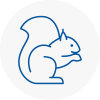 Warwick Rodent Removals